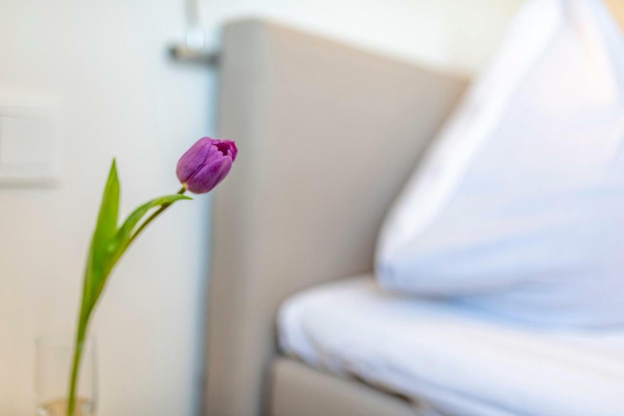 Treibgut Apartment Olpenitz Ngoại thất bức ảnh